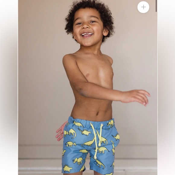 Taylor Joelle/ Rosie Beach Swimwear Boy’s Dino Shorts - Picture 2 of 6